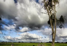 最佳pg汪财金宝攻略大全助你轻松理解游戏节奏与奖励机制
